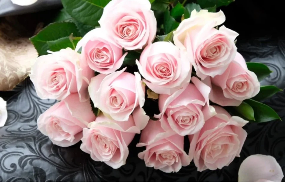 Roses